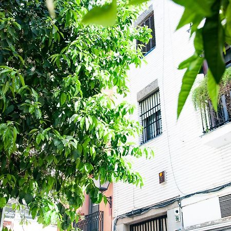 Alohamundi Cruz Verde Apartment Seville Exterior photo