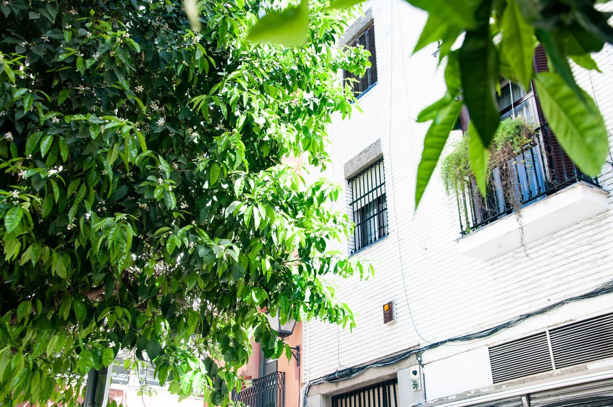 Alohamundi Cruz Verde Apartment Seville Exterior photo